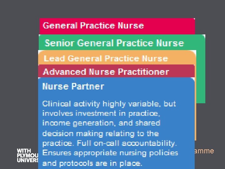 Career Framework for General Practice Nursing Working in Partnership Programme 2004 
