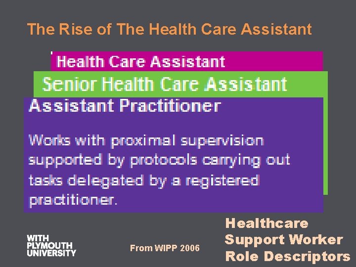 The Rise of The Health Care Assistant From WIPP 2006 Healthcare Support Worker Role