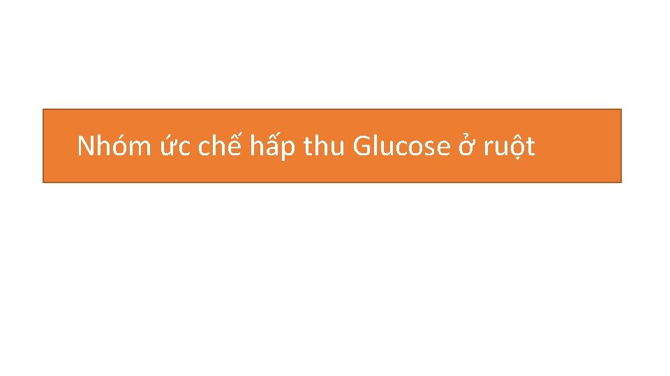 Nhóm ức chế hấp thu Glucose ở ruột 