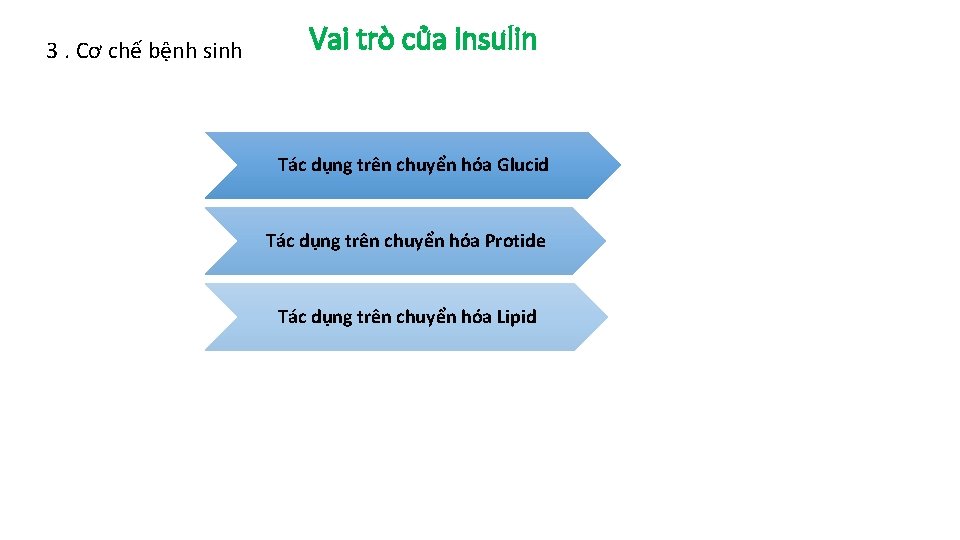 3. Cơ chế bệnh sinh Vai trò của insulin Tác dụng trên chuyển hóa