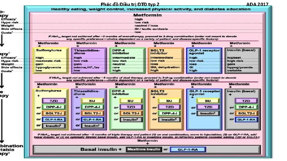 Phác đồ Điều trị ĐTĐ typ 2 ADA 2017 