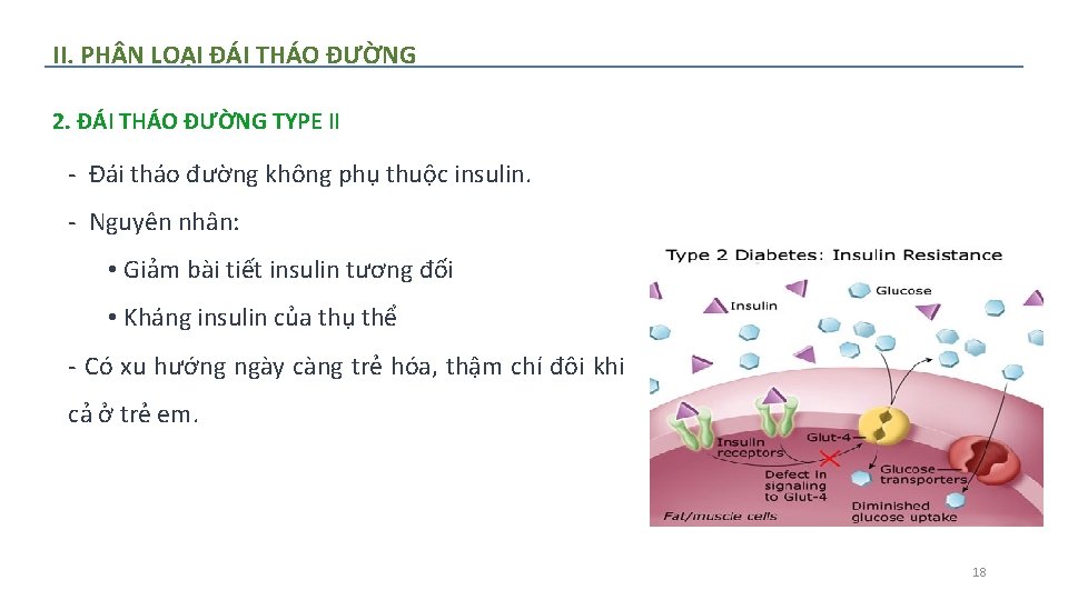 II. PH N LOẠI ĐÁI THÁO ĐƯỜNG 2. ĐÁI THÁO ĐƯỜNG TYPE II ‐