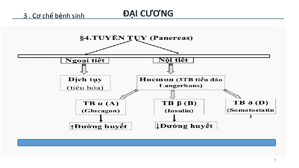 3. Cơ chế bệnh sinh ĐẠI CƯƠNG 7 