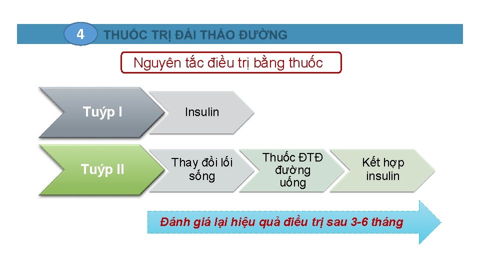 2. THUỐC TRỊ ĐÁI THÁO ĐƯỜNG 4 Nguyên tắc điều trị bằng thuốc Tuýp 2. THUỐC TRỊ ĐÁI THÁO ĐƯỜNG 4 Nguyên tắc điều trị bằng thuốc Tuýp