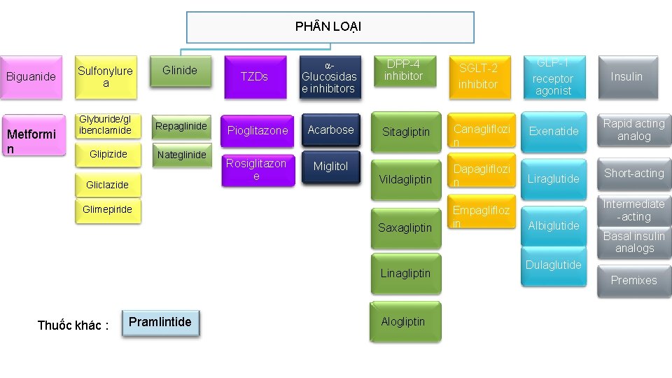 PH N LOẠI Biguanide Metformi n Sulfonylure a Glyburide/gl ibenclamide Glipizide Glinide Repaglinide Nateglinide PH N LOẠI Biguanide Metformi n Sulfonylure a Glyburide/gl ibenclamide Glipizide Glinide Repaglinide Nateglinide