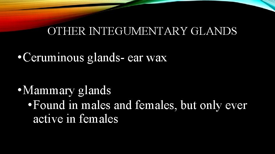 OTHER INTEGUMENTARY GLANDS • Ceruminous glands- ear wax • Mammary glands • Found in