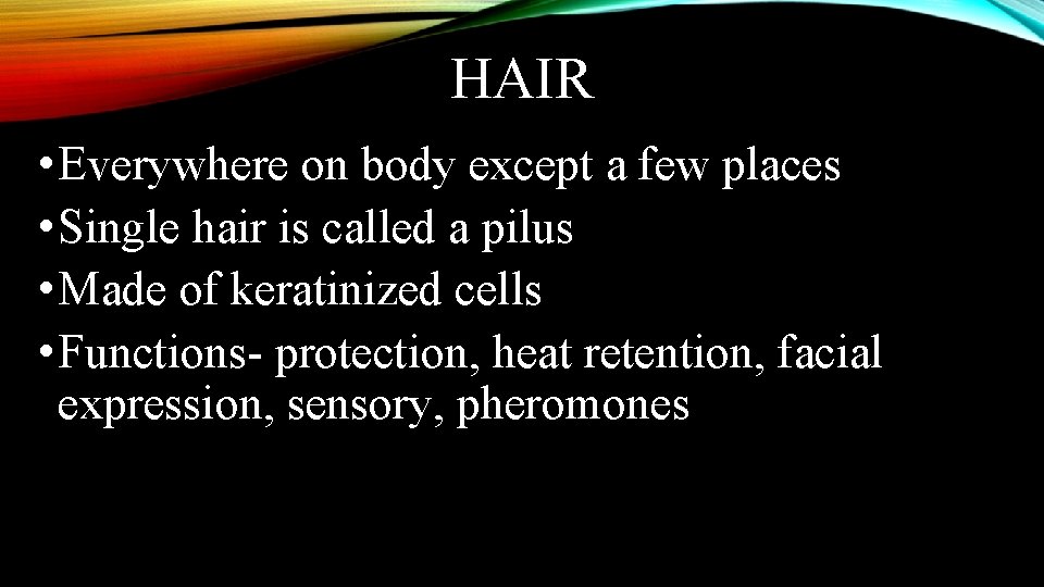 HAIR • Everywhere on body except a few places • Single hair is called
