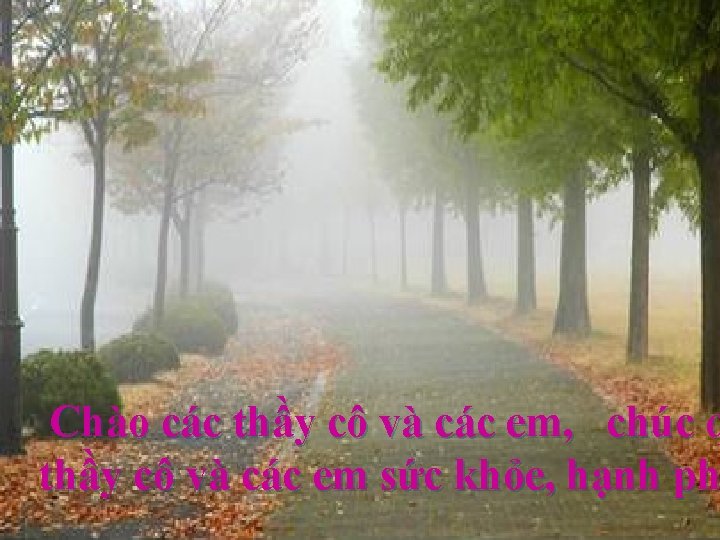 Chào các thầy cô và các em, chúc q thầy cô và các em