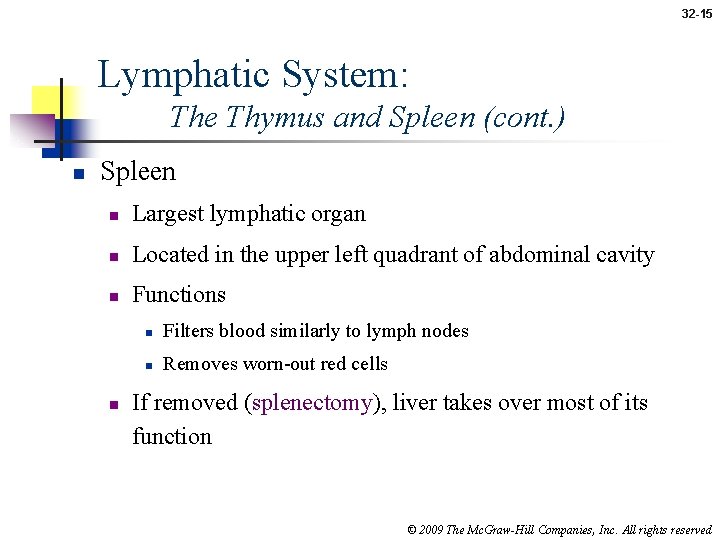 32 -15 Lymphatic System: The Thymus and Spleen (cont. ) n Spleen n Largest