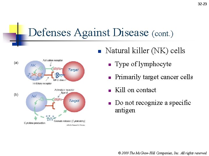 32 -23 Defenses Against Disease (cont. ) n Natural killer (NK) cells n Type