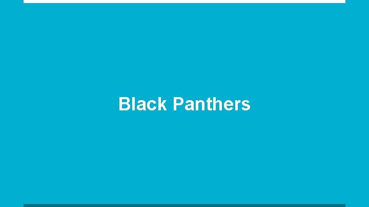 Black Panthers 