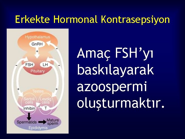 Erkekte Hormonal Kontrasepsiyon Amaç FSH’yı baskılayarak azoospermi oluşturmaktır. 