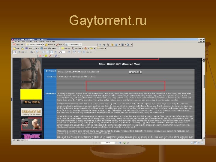 Gaytorrent. ru 