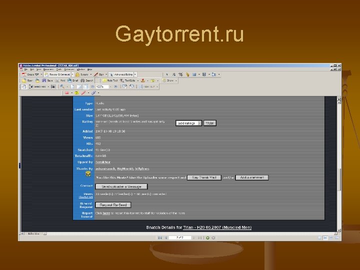 Gaytorrent. ru 