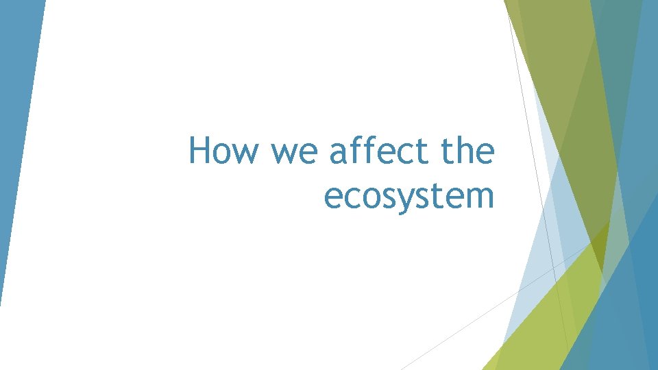 How we affect the ecosystem 