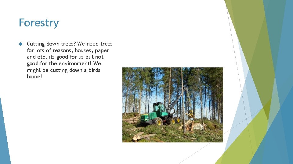 Forestry Cutting down trees? We need trees for lots of reasons, houses, paper and