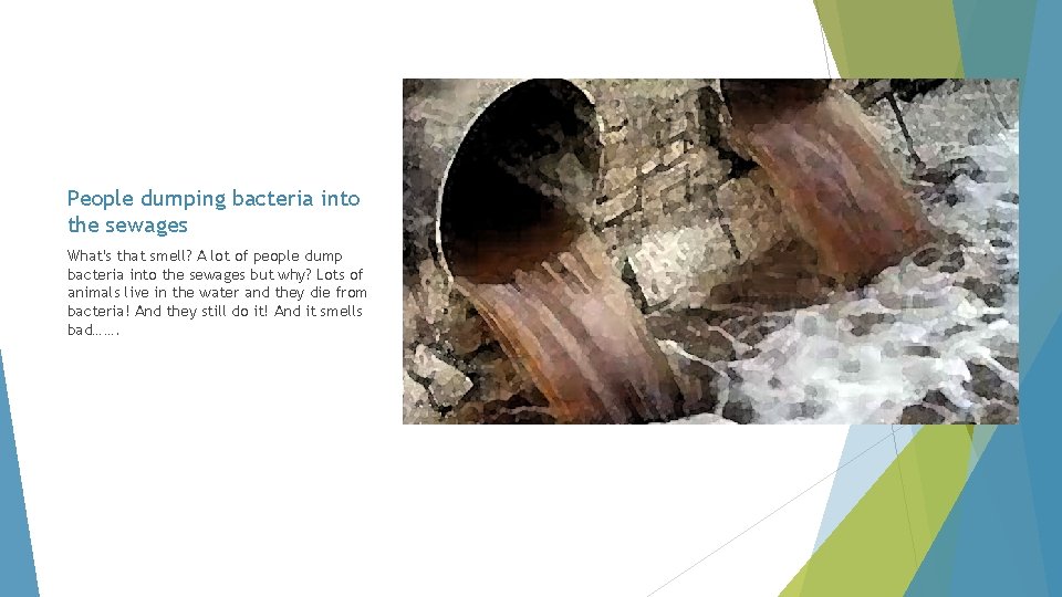 People dumping bacteria into the sewages What's that smell? A lot of people dump