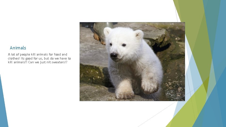 Animals A lot of people kill animals for food and clothes! Its good for