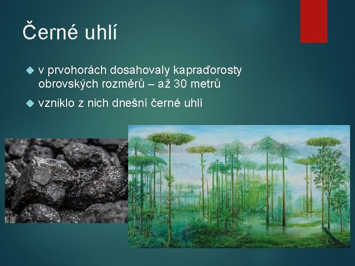 Černé uhlí v prvohorách dosahovaly kapraďorosty obrovských rozměrů – až 30 metrů vzniklo z