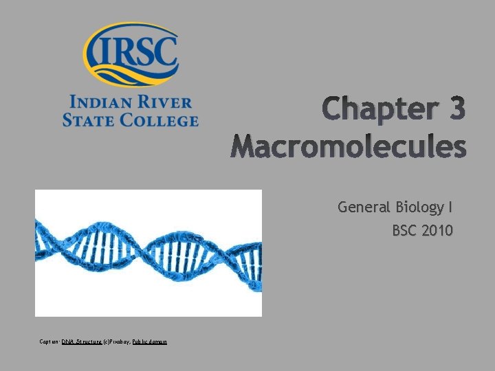 Chapter 3 Macromolecules General Biology I BSC 2010 Caption: DNA Structure (c)Pixabay, Public domain