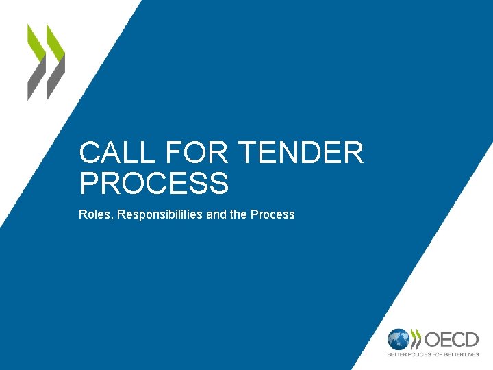 CALL FOR TENDER PROCESS Roles, Responsibilities and the Process 