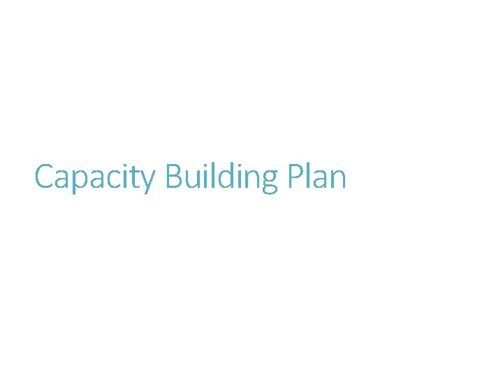 Capacity Building Plan 