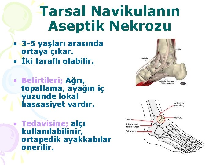 Tarsal Navikulanın Aseptik Nekrozu • 3 -5 yaşları arasında ortaya çıkar. • İki taraflı