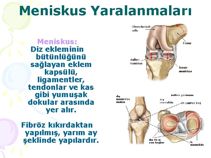 Meniskus Yaralanmaları Meniskus: Diz ekleminin bütünlüğünü sağlayan eklem kapsülü, ligamentler, tendonlar ve kas gibi