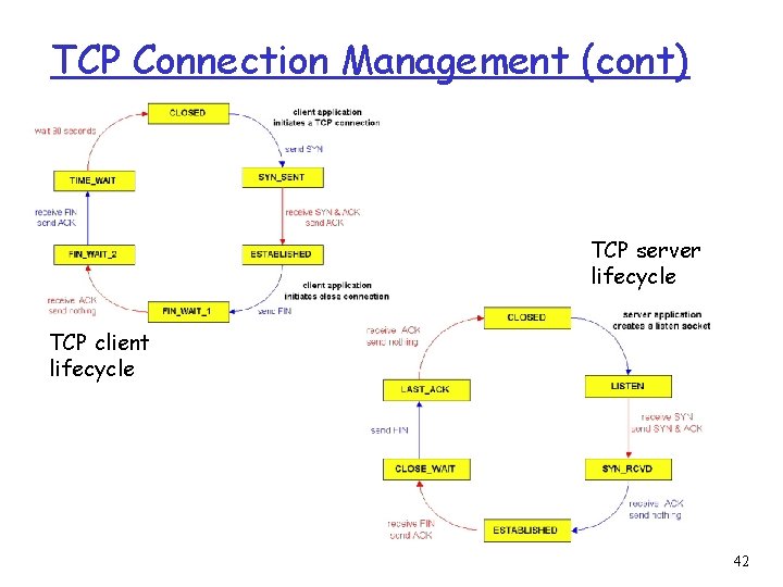 TCP Connection Management (cont) TCP server lifecycle TCP client lifecycle 42 
