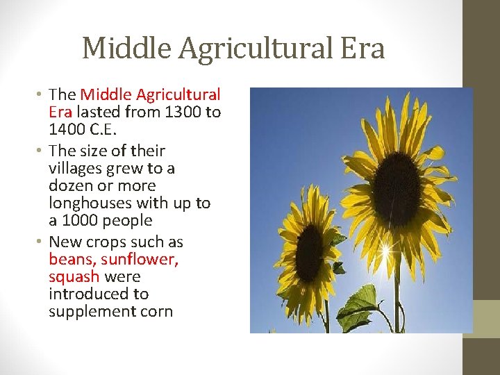 Middle Agricultural Era • The Middle Agricultural Era lasted from 1300 to 1400 C.
