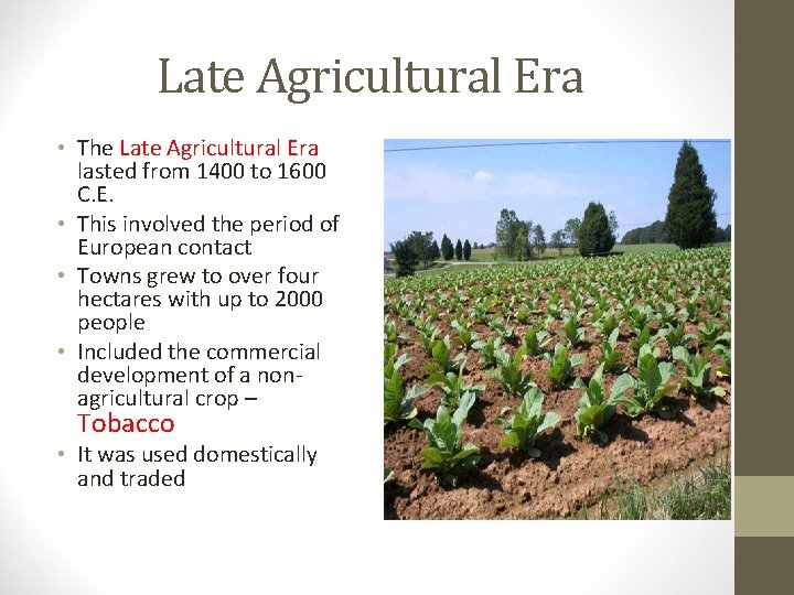 Late Agricultural Era • The Late Agricultural Era lasted from 1400 to 1600 C.
