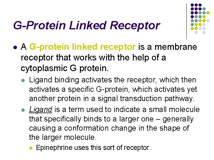 G-Protein Linked Receptor l A G-protein linked receptor is a membrane receptor that works