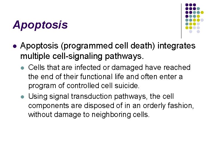 Apoptosis l Apoptosis (programmed cell death) integrates multiple cell-signaling pathways. l l Cells that