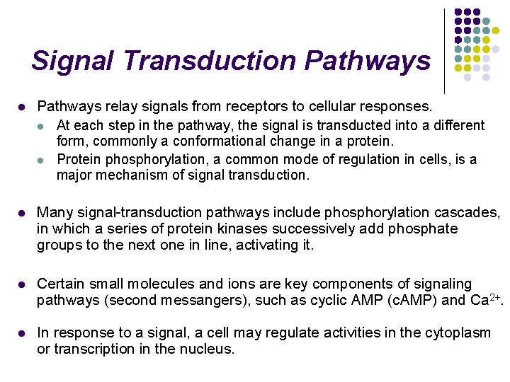 Signal Transduction Pathways l Pathways relay signals from receptors to cellular responses. l At