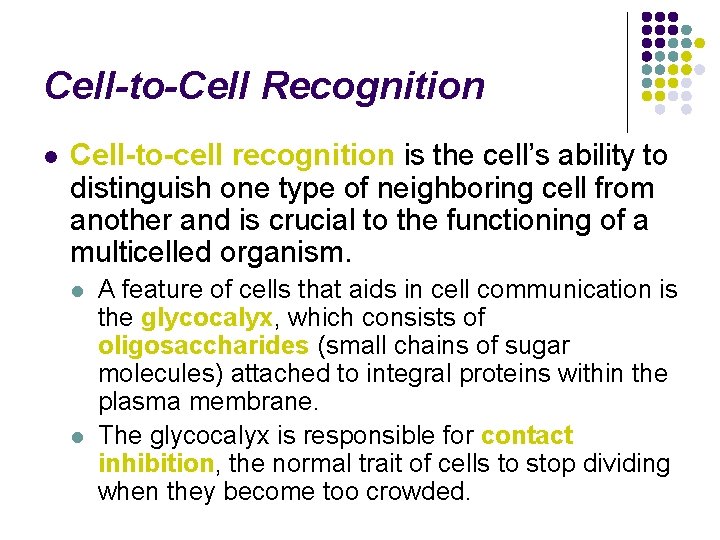 Cell-to-Cell Recognition l Cell-to-cell recognition is the cell’s ability to distinguish one type of