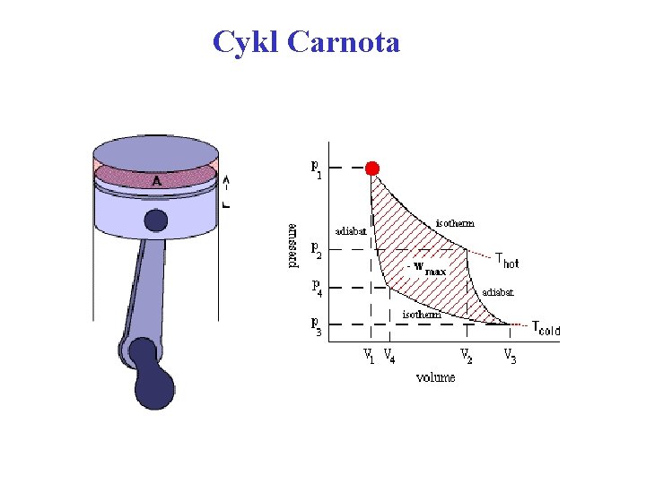 Cykl Carnota 