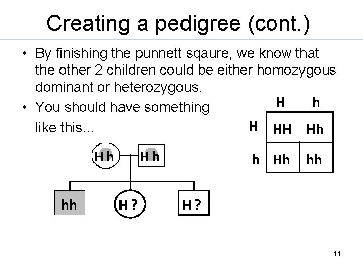Creating a pedigree (cont. ) • By finishing the punnett sqaure, we know that