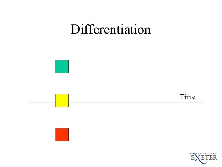 Differentiation Time 