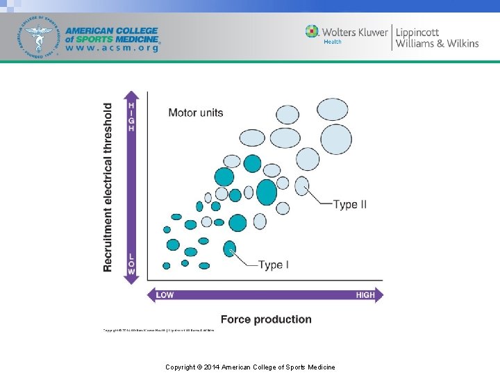 Copyright © 2014 American College of Sports Medicine 