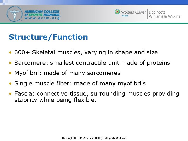Structure/Function • 600+ Skeletal muscles, varying in shape and size • Sarcomere: smallest contractile