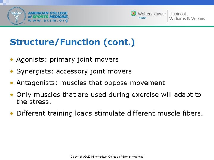 Structure/Function (cont. ) • Agonists: primary joint movers • Synergists: accessory joint movers •