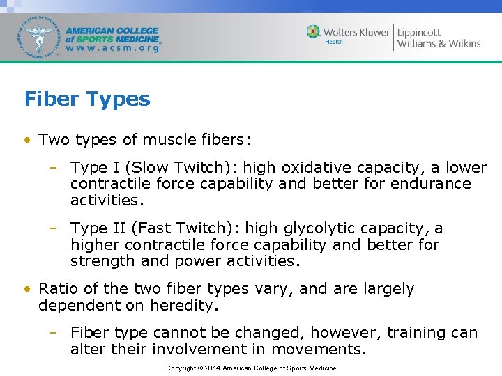Fiber Types • Two types of muscle fibers: – Type I (Slow Twitch): high