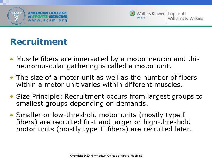 Recruitment • Muscle fibers are innervated by a motor neuron and this neuromuscular gathering