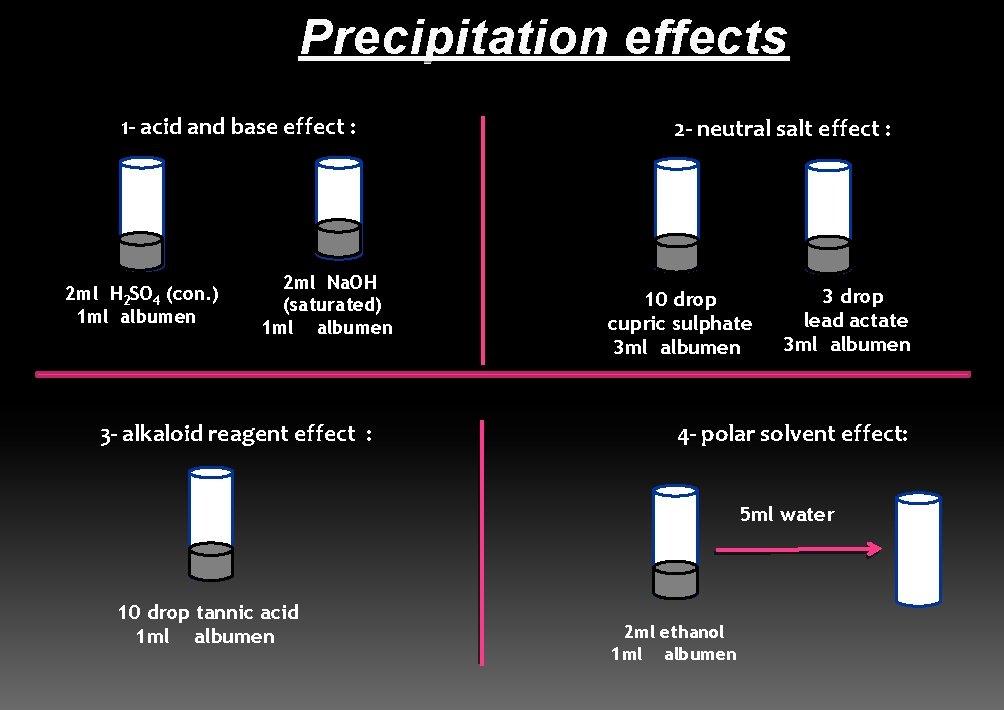 Precipitation effects 1 - acid and base effect : 2 ml H 2 SO