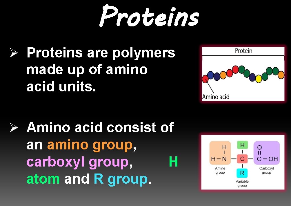 Proteins Ø Proteins are polymers made up of amino acid units. Ø Amino acid