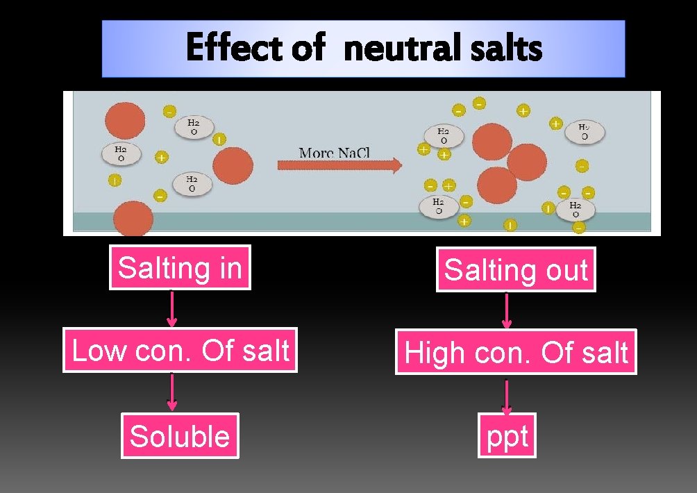 Effect of neutral salts Salting in Salting out Low con. Of salt High con.