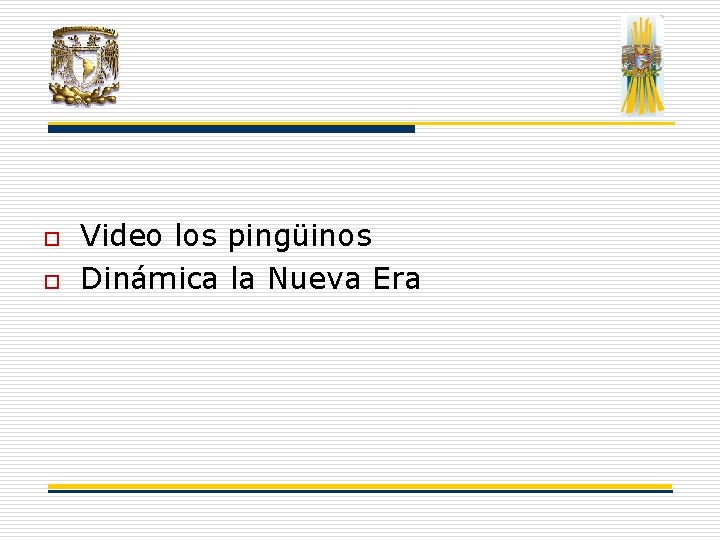 o o Video los pingüinos Dinámica la Nueva Era o o Video los pingüinos Dinámica la Nueva Era