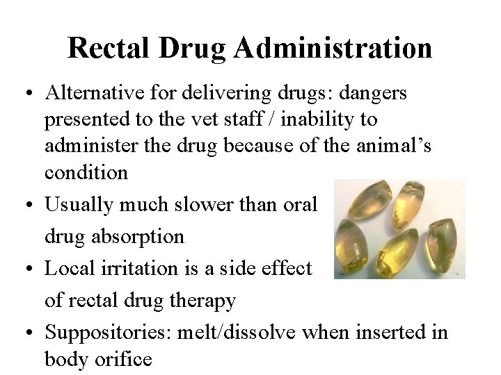 Rectal Drug Administration • Alternative for delivering drugs: dangers presented to the vet staff