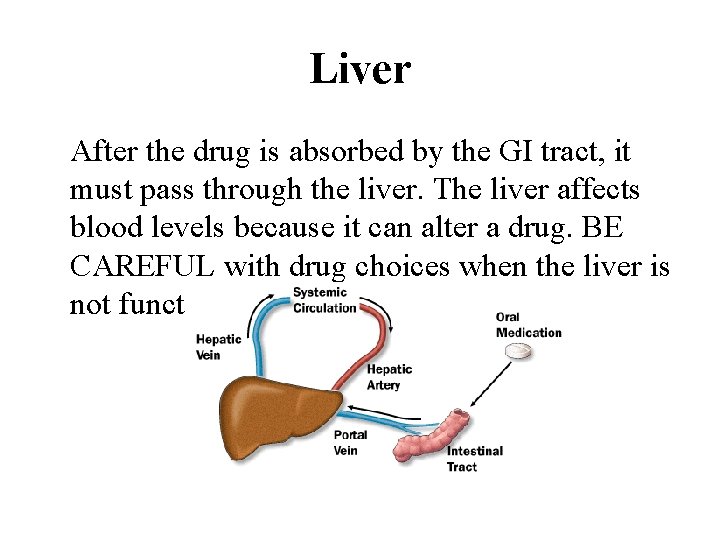 Liver After the drug is absorbed by the GI tract, it must pass through