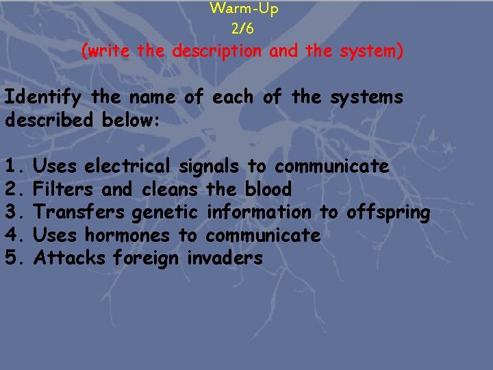 Warm-Up 2/6 (write the description and the system) Identify the name of each of